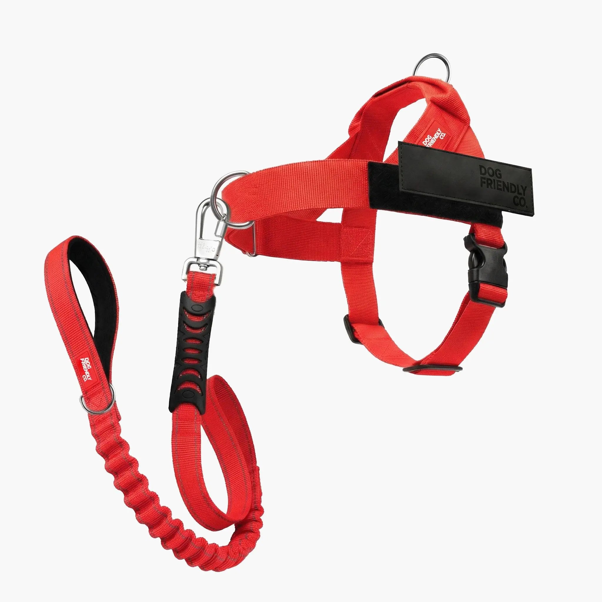 Dog Harness & Bungee Leash Set