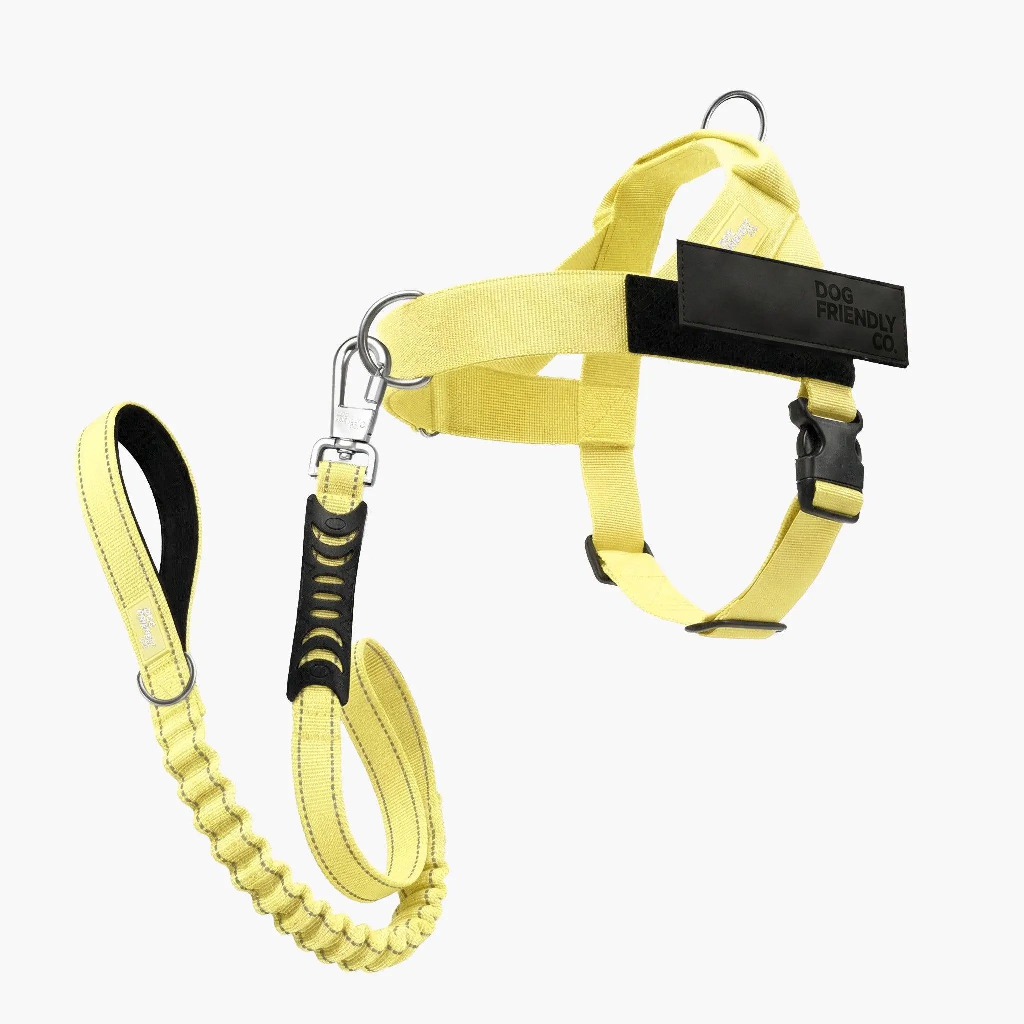 Dog Harness & Bungee Leash Set