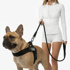 Dog Harness & Bungee Leash Set